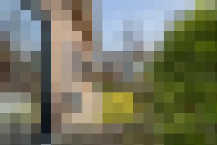 Marke Mander 11 Almelo thumbnail 25