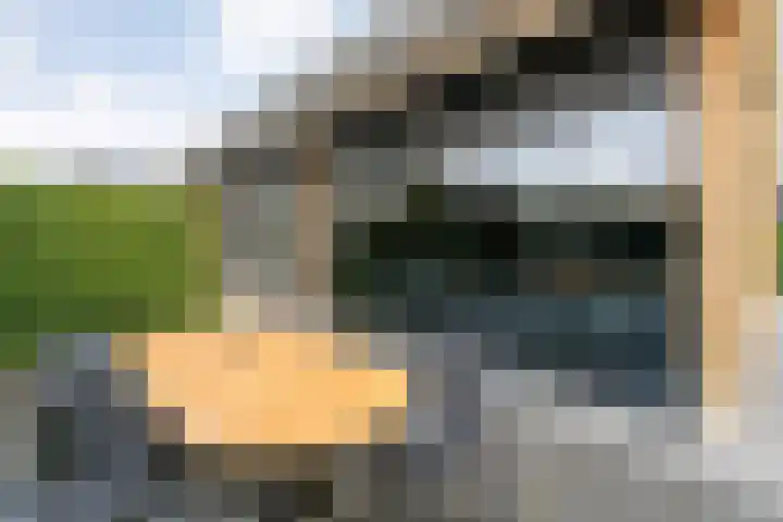 Markeboek 1 Ommen thumbnail 101