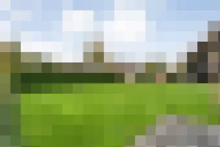 Markeboek 1 Ommen thumbnail 105