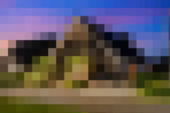 Markeboek 1 Ommen thumbnail 124