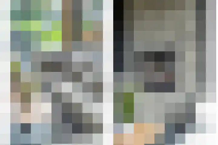 Markeboek 1 Ommen thumbnail 51