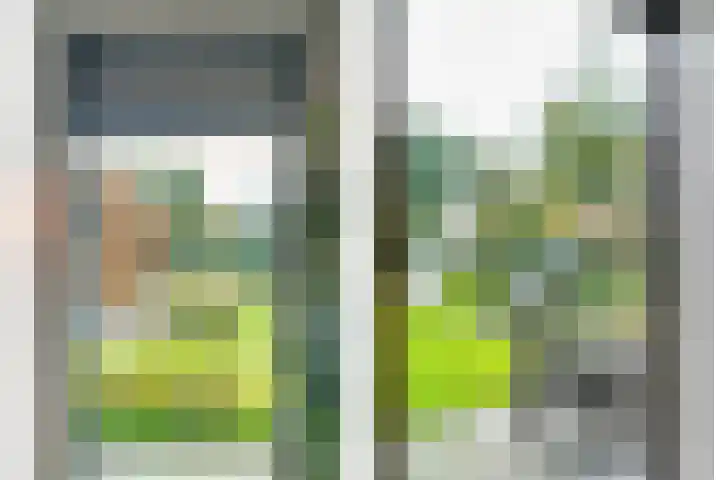 Markeboek 1 Ommen thumbnail 52