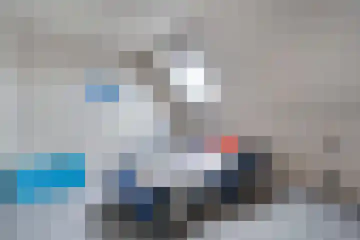Markeboek 1 Ommen thumbnail 63