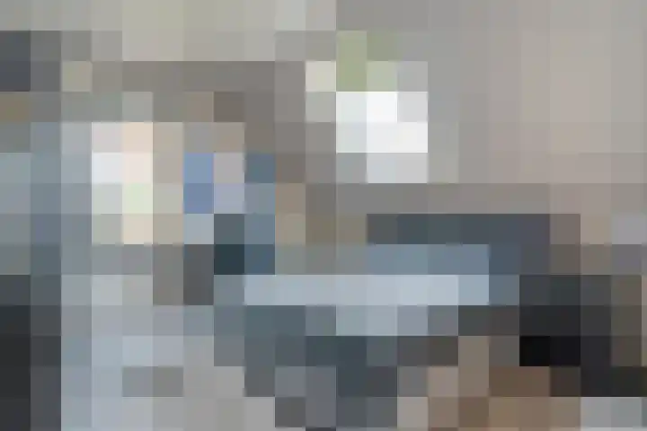 Markeboek 1 Ommen thumbnail 65