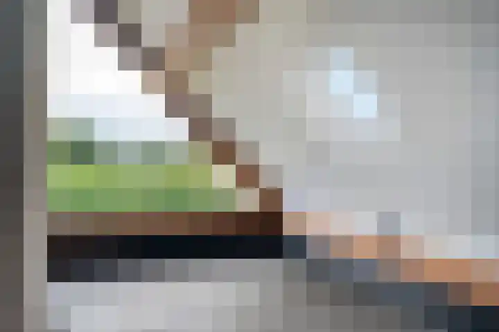 Markeboek 1 Ommen thumbnail 66