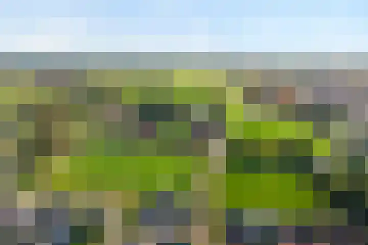 Markeboek 1 Ommen thumbnail 7