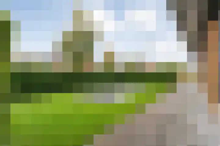 Markeboek 1 Ommen thumbnail 92