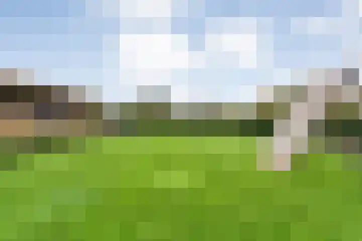 Markeboek 1 Ommen thumbnail 96