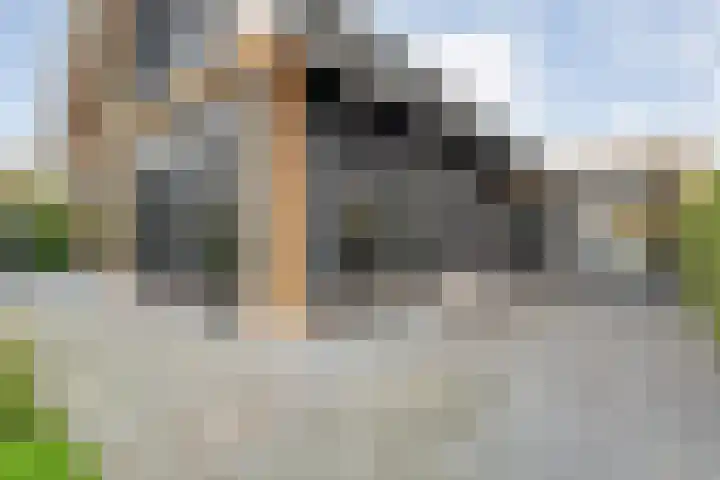 Markeboek 1 Ommen thumbnail 98