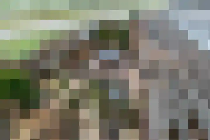Markedreef 21 Assen thumbnail 24