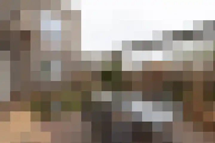 Markedreef 21 Assen thumbnail 32