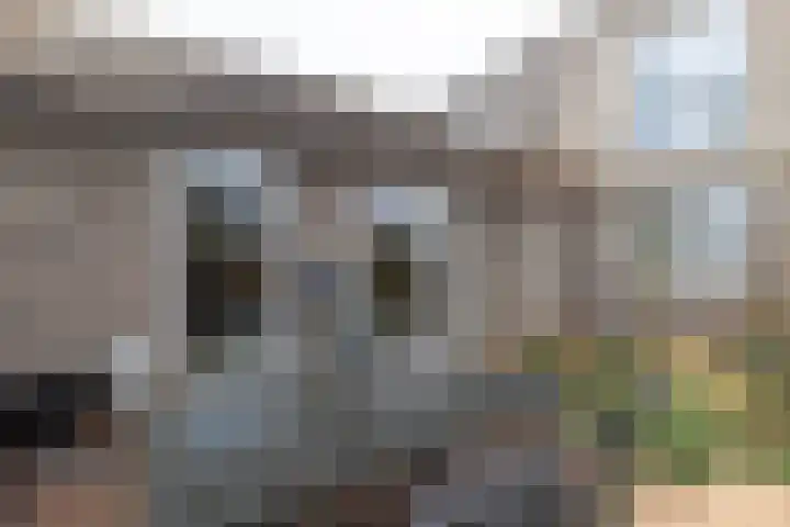 Markedreef 21 Assen thumbnail 33