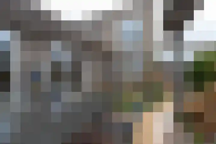 Markedreef 21 Assen thumbnail 34