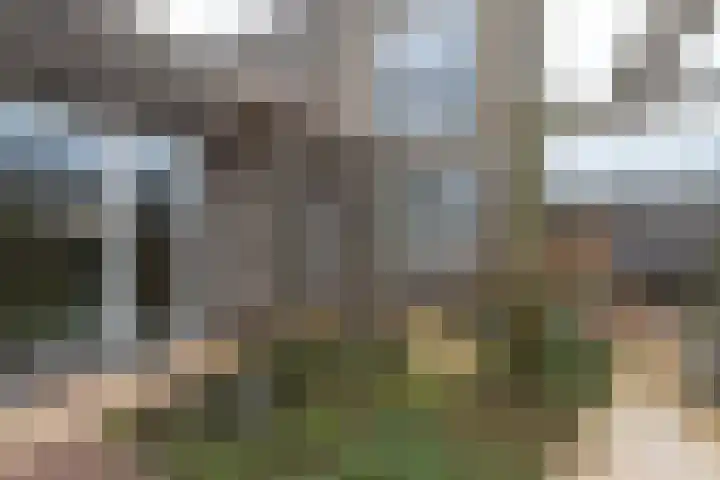 Markedreef 21 Assen thumbnail 35