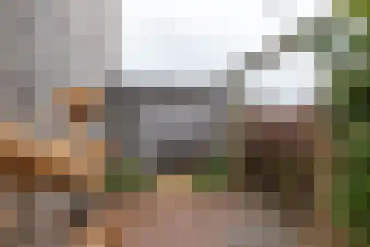 Markedreef 21 Assen thumbnail 36