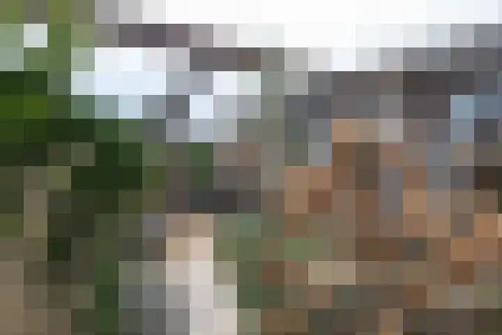 Markedreef 21 Assen thumbnail 37