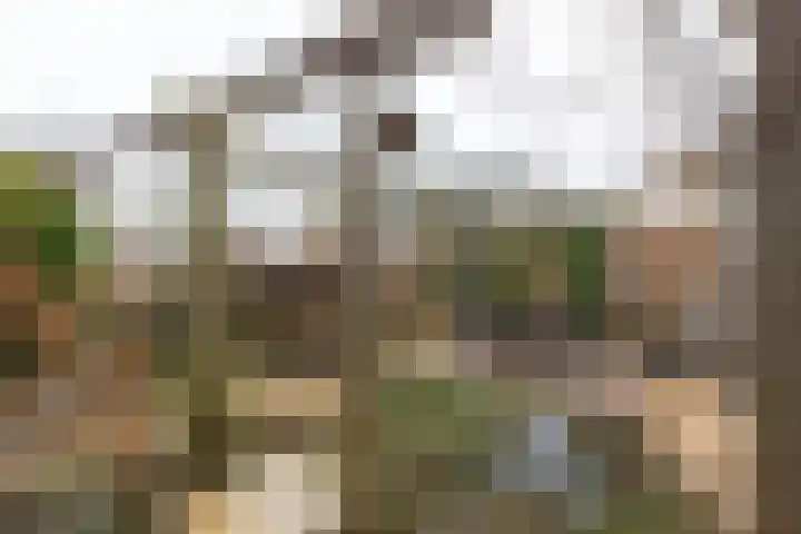 Markedreef 21 Assen thumbnail 38