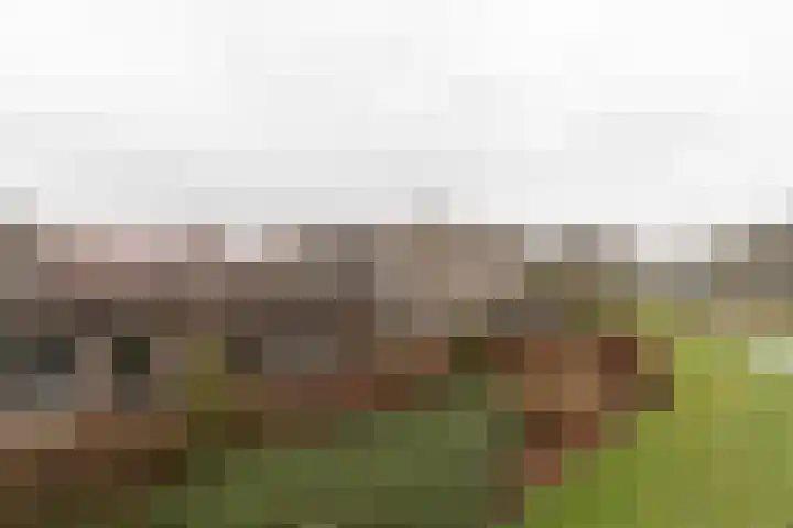 Markedreef 21 Assen thumbnail 39