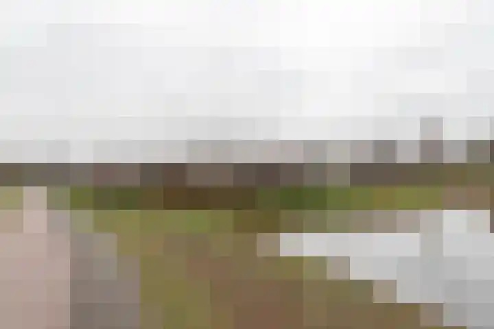 Markedreef 21 Assen thumbnail 40