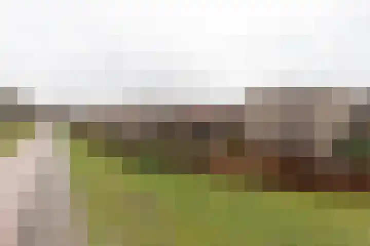 Markedreef 21 Assen thumbnail 41