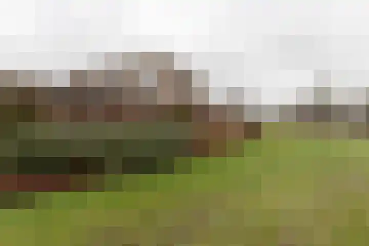 Markedreef 21 Assen thumbnail 42