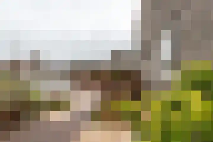Markedreef 21 Assen thumbnail 43