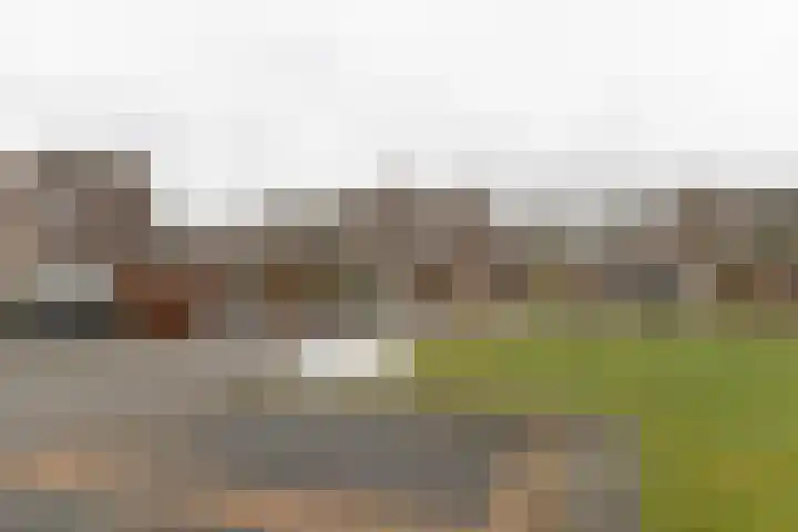 Markedreef 21 Assen thumbnail 45