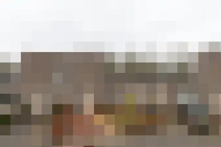 Markedreef 21 Assen thumbnail 47