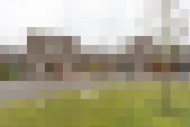 Markedreef 21 Assen thumbnail 48