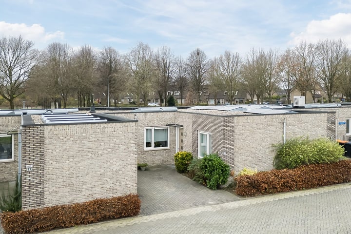 Markedreef 27 in Assen foto