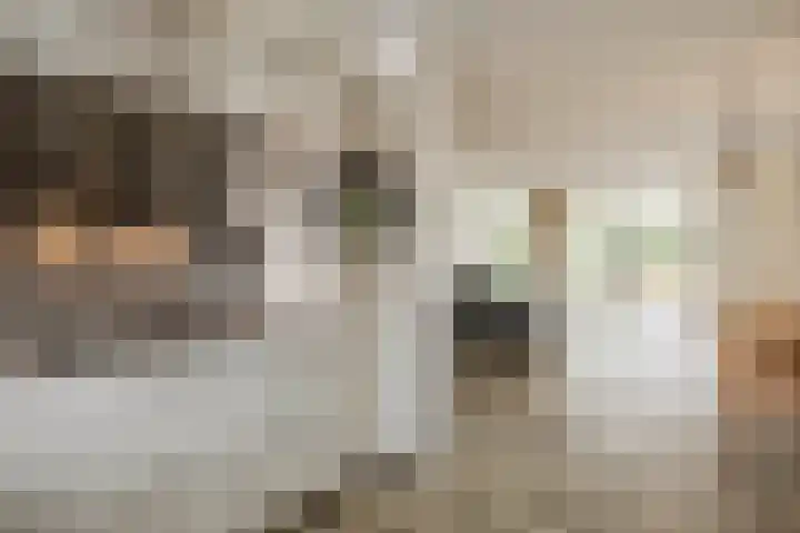 Markedreef 33 Assen thumbnail 13