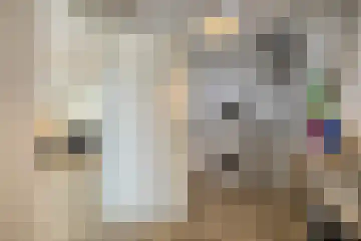 Markedreef 33 Assen thumbnail 15