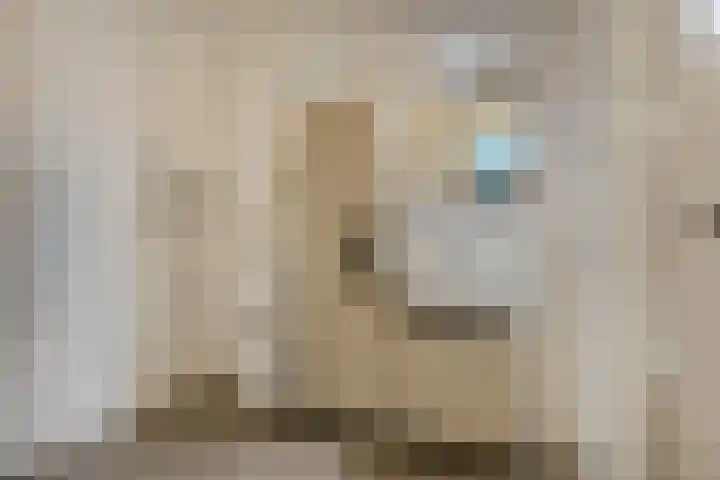 Markedreef 33 Assen thumbnail 17
