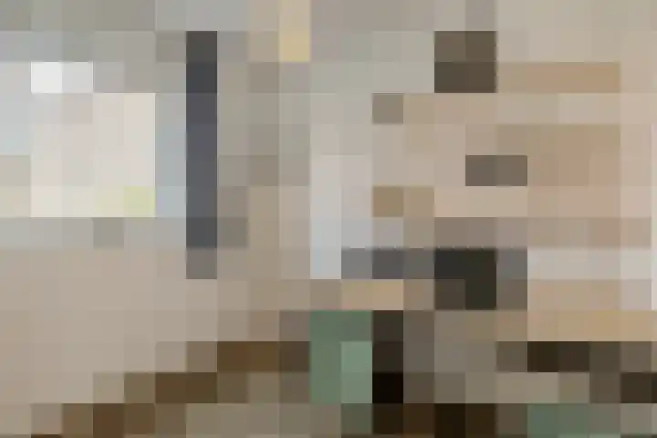 Markedreef 33 Assen thumbnail 23