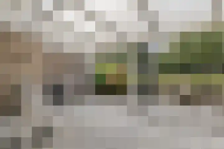 Markedreef 33 Assen thumbnail 25