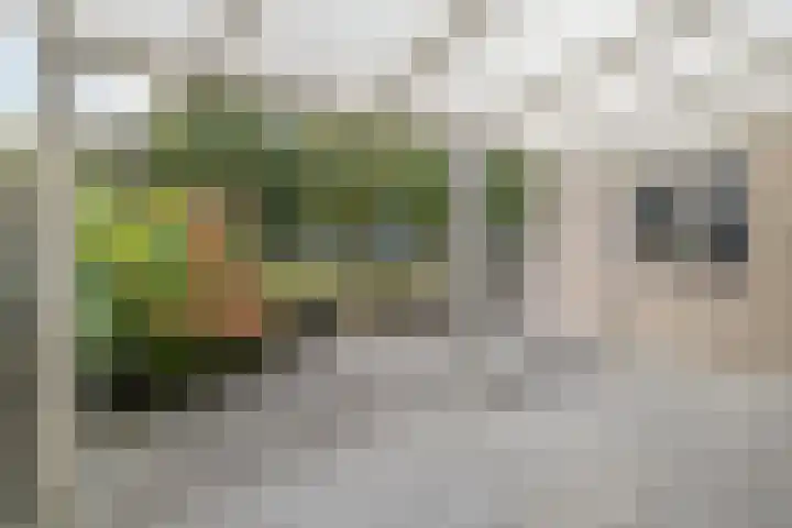 Markedreef 33 Assen thumbnail 26