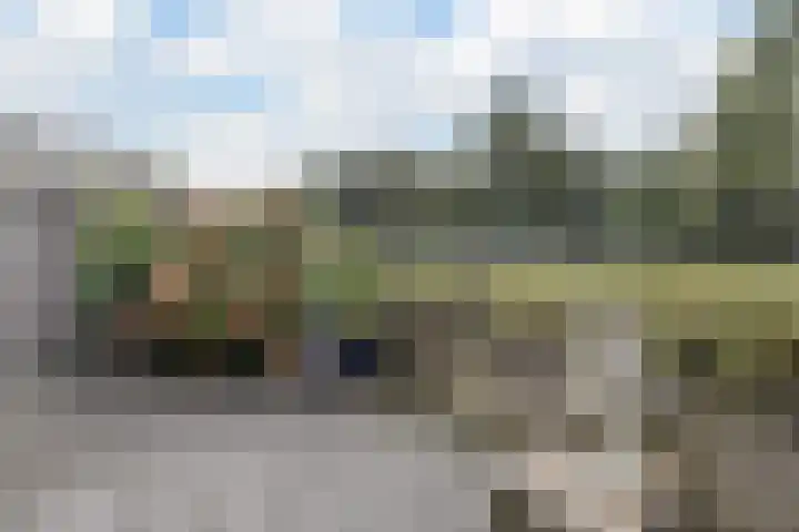 Markedreef 33 Assen thumbnail 30