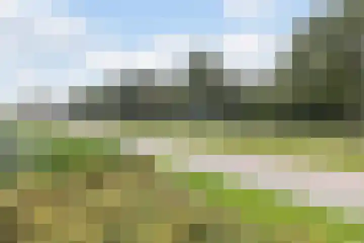 Markedreef 33 Assen thumbnail 31