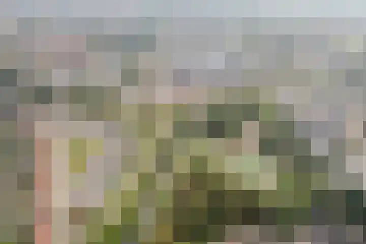 Markedreef 33 Assen thumbnail 35