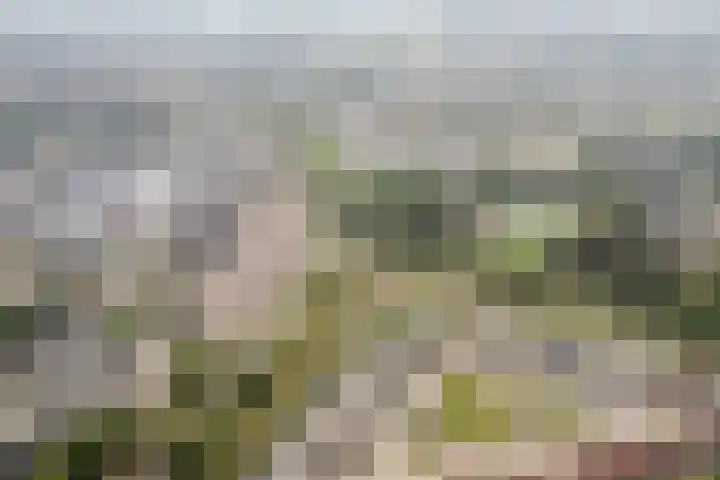 Markedreef 33 Assen thumbnail 36