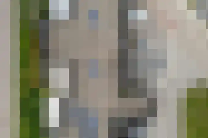 Markedreef 33 Assen thumbnail 4