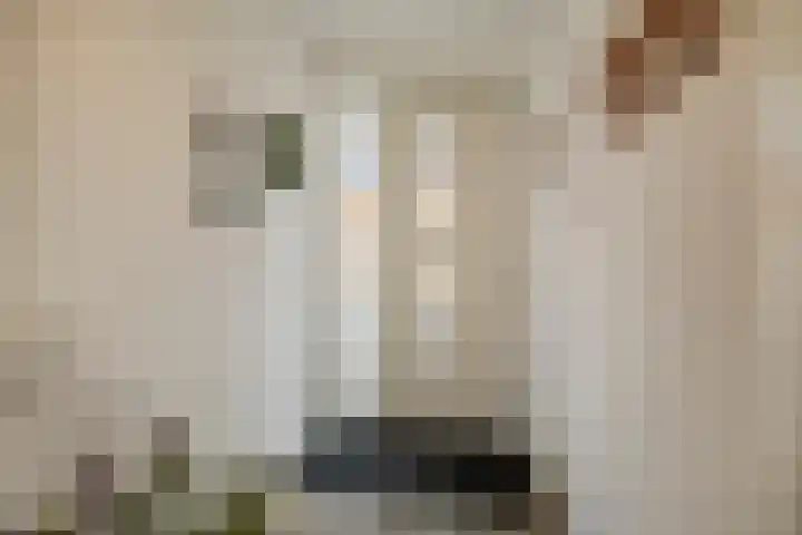 Markedreef 33 Assen thumbnail 5