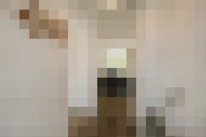 Markedreef 33 Assen thumbnail 6