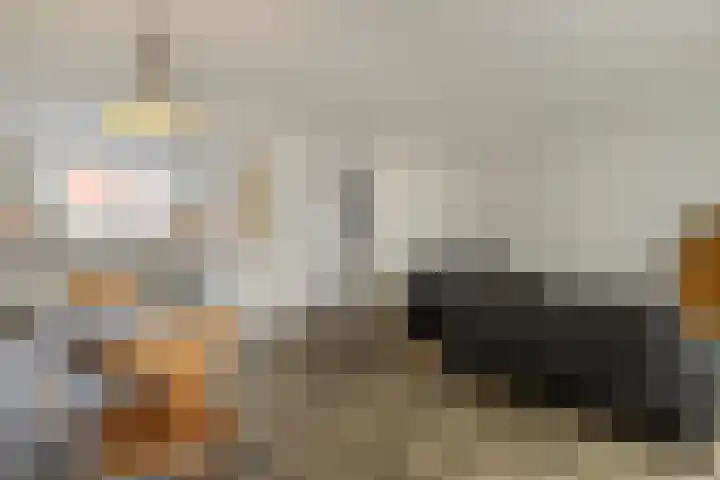 Markedreef 33 Assen thumbnail 9