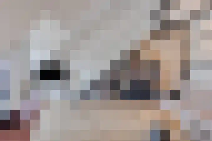 Markendaalseweg 28 E6 Breda thumbnail 4