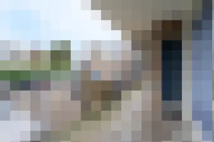 Markendaalseweg 335 Breda thumbnail 15