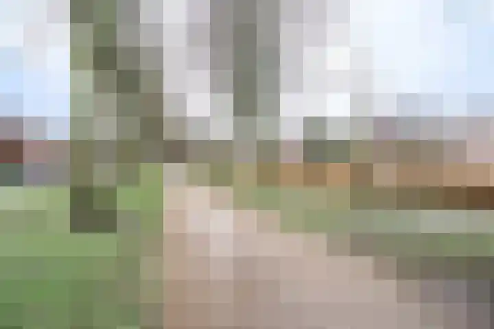 Markendaalseweg 335 Breda thumbnail 20