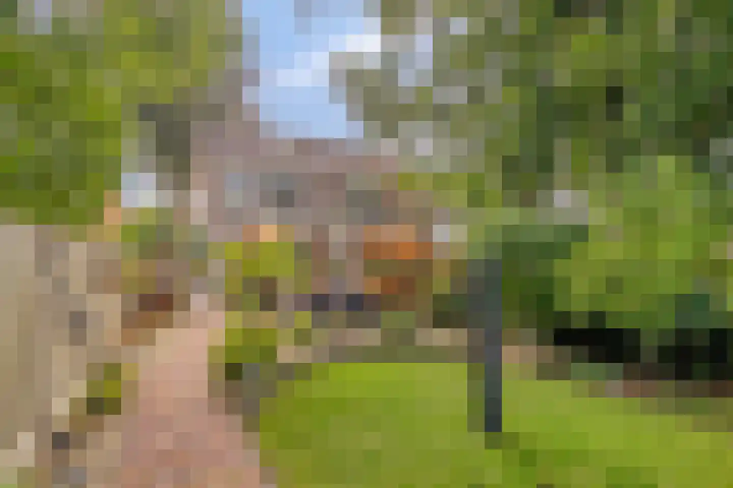 Markendoel 6 A Ugchelen thumbnail 14