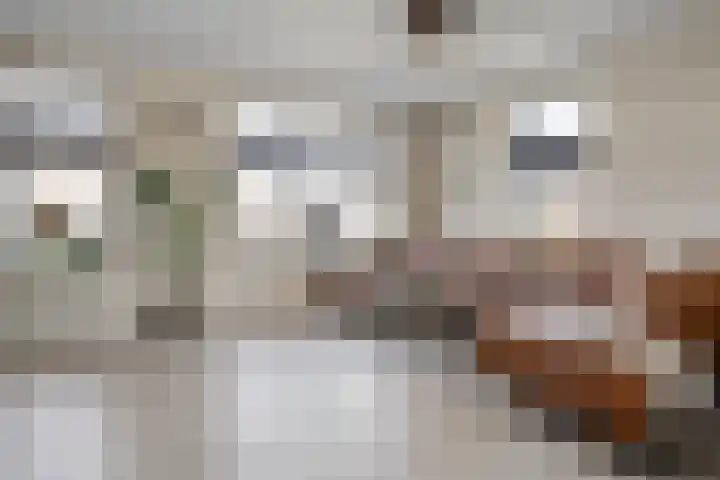 Markerichter 63 Hardenberg thumbnail 16