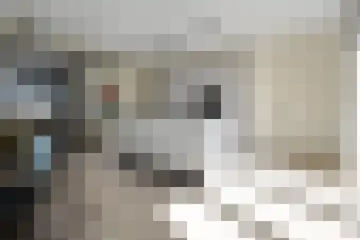 Markerichter 63 Hardenberg thumbnail 21